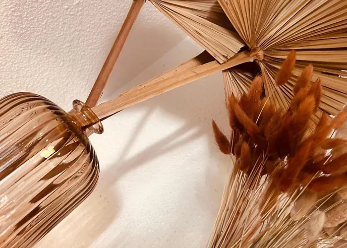 公寓 Domaine Valescure St Raphael Piscine Golf Saint-Raphaël